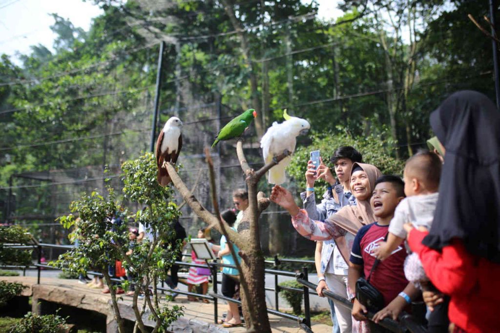 Soal Lahan Kebun Binatang Pemkot Bandung Berkewajiban Mengamankan Aset