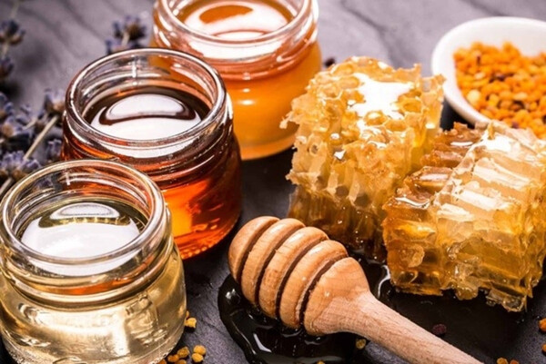 khasiat madu yang dapat mencegah penyakit kanker