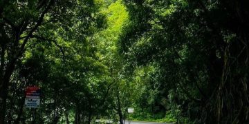 Healing Enggak Selalu Harus Jauh, Cukup Nikmati Tenangnya Bandung