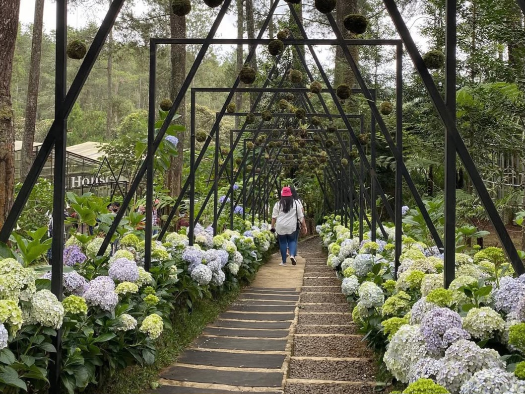 Foto: Instagram @orchidforestcikole