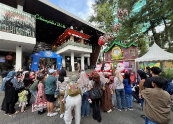 Liburan Akhir Tahun! Serunya Belajar dan Bermain di Little Zoo Ciwalk Bandung