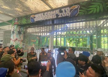 Satpol PP Amankan Aset Kebun Binatang Bandung
