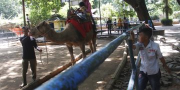 Negara Ambil Alih Kebun Binatang, Farhan: Satwa Tidak Boleh Jadi Korban