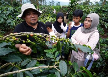 Jamkrindo Dukung UMKM Lokal Naik Kelas
