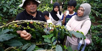 Jamkrindo Dukung UMKM Lokal Naik Kelas