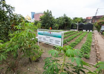 Kolaborasi 13 RW, KTM Cibangkong Jadi Percontohan Pertanian Perkotaan di Bandung