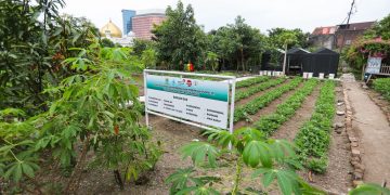 Kolaborasi 13 RW, KTM Cibangkong Jadi Percontohan Pertanian Perkotaan di Bandung