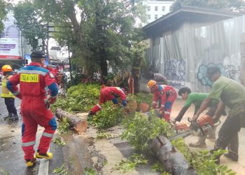 Hujan Angin Landa Bandung, Pohon Tumbang Timpa mobil di Dago