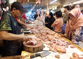 Harga Kebutuhan Pokok di Bandung Stabil Jelang Lebara