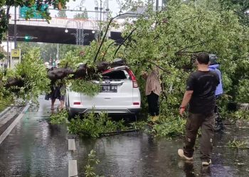 Hujan Angin Landa Bandung, Pohon Tumbang Timpa mobil di Dago
