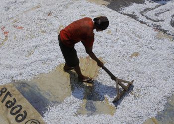 Farhan: Kenaikan Harga Plastik Momentum Merubah Pola Penggunaan Kemasan Sekali Pakai